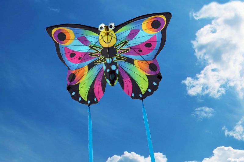X-Kites SkyBugz Kites - Einleiner-Drachen/Kinderdrachen (1-Leiner) rtf-/bilder/big/Fotos X-Kites-Schmetterling-2015.jpg
